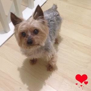 Meet your Posher, Antoniette